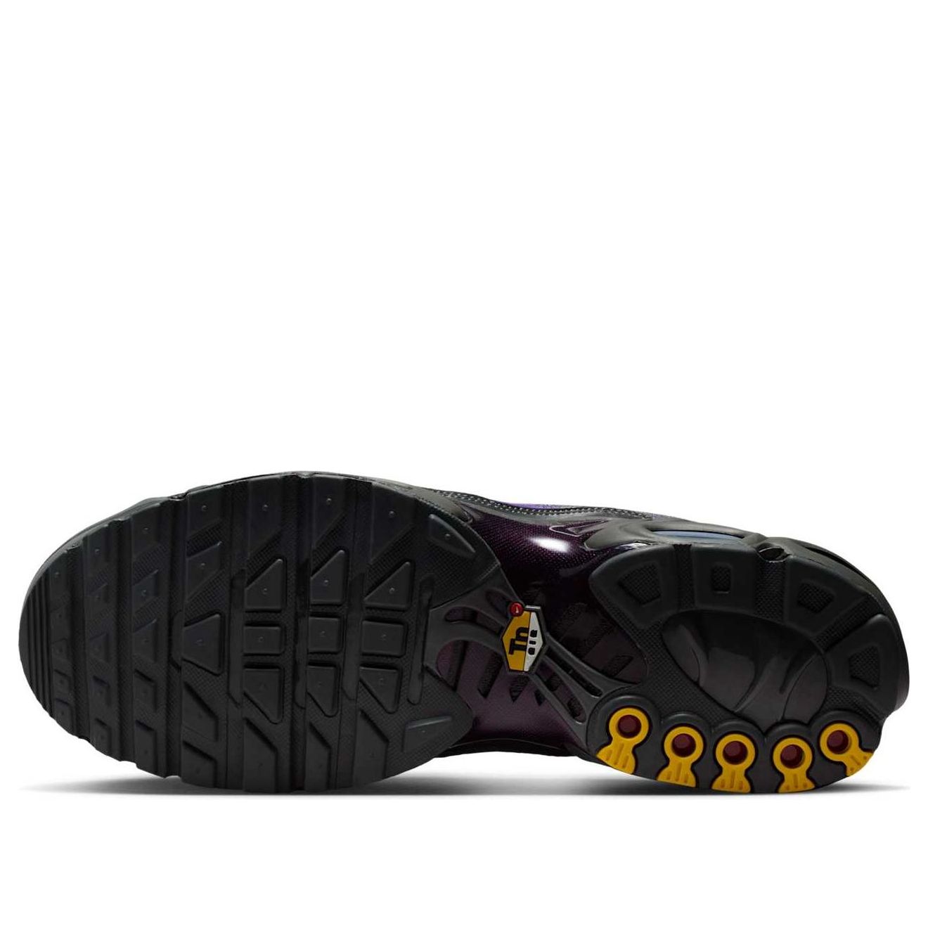 Nike Air Max Plus OG Iron Grey Wild Grape
