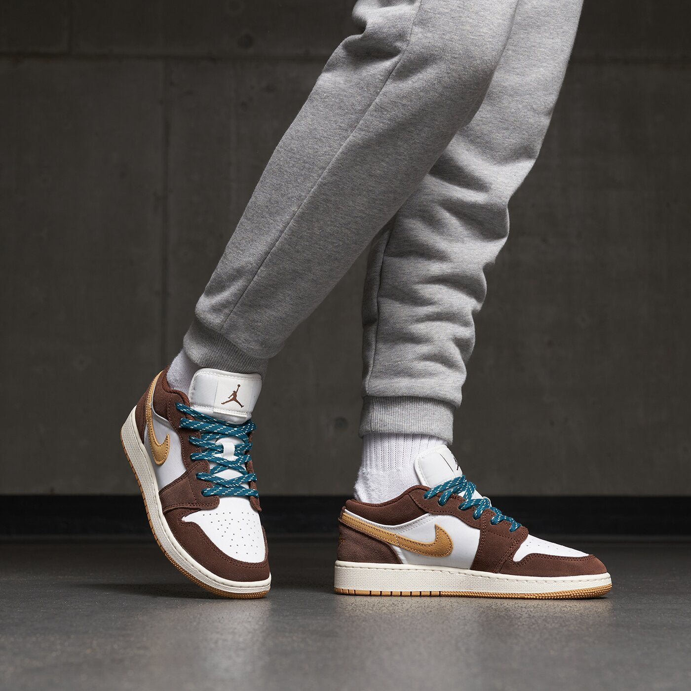 Air Jordan 1 Low Cacao Wow FB2216-200