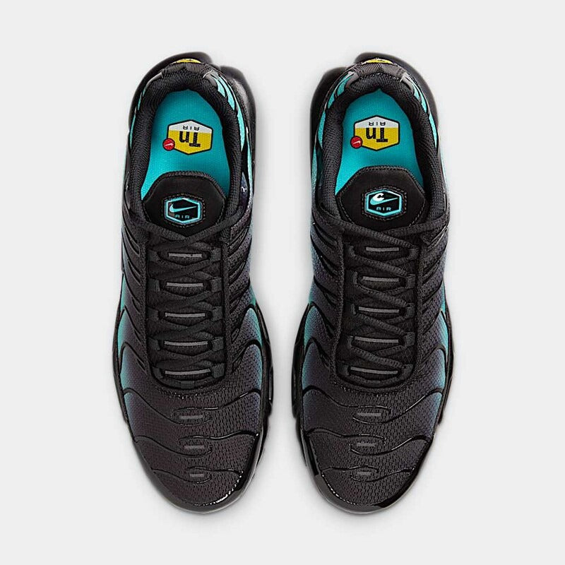 Nike Air Max Plus Black Dusty Cactus