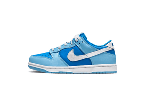 Nike Dunk Low Argon Enfant (PS)