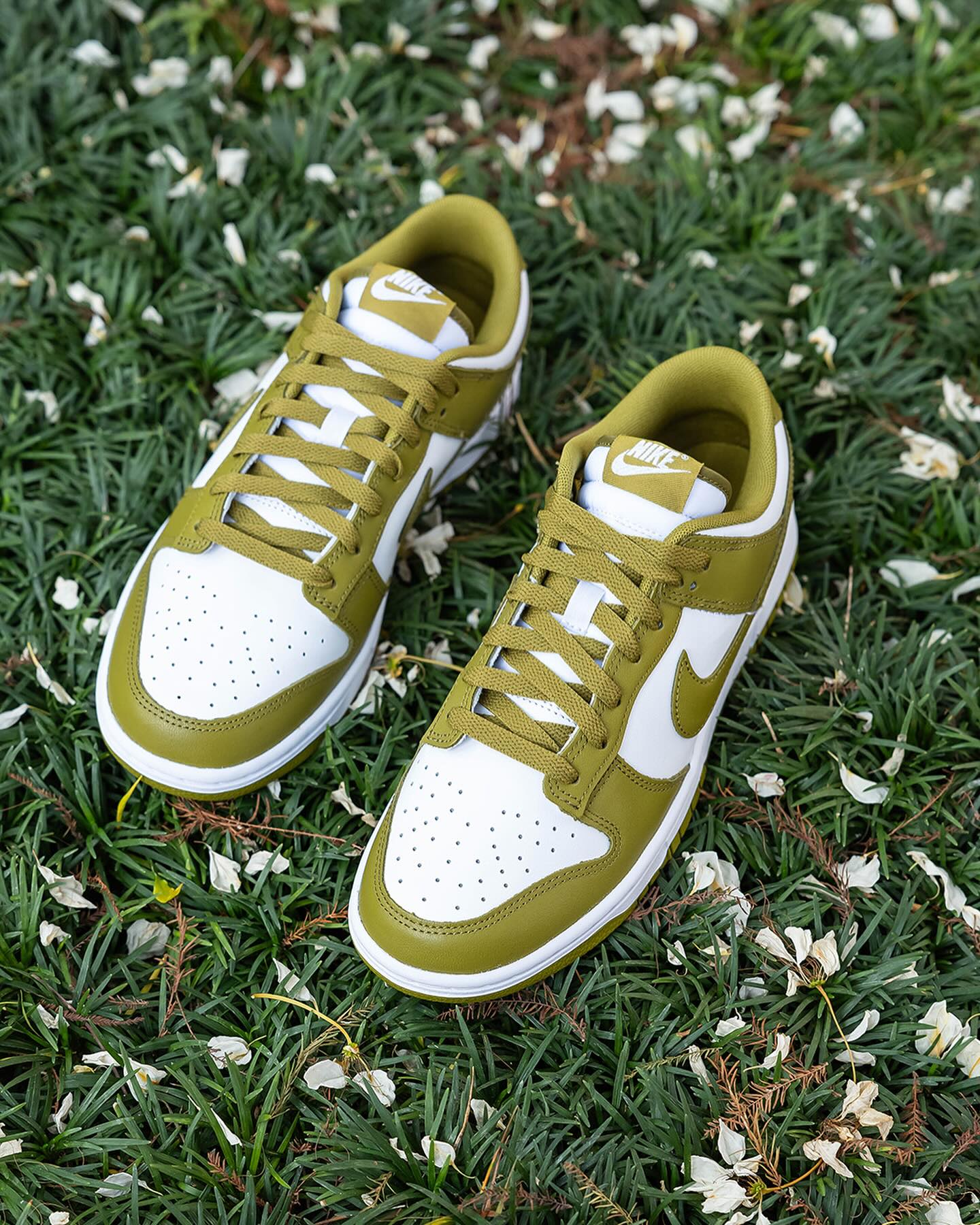 Dunk Low Retro Pacific Moss