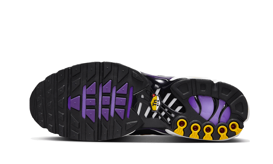 Air Max Plus Voltage Purple - CD0609-024 / DX0755-500