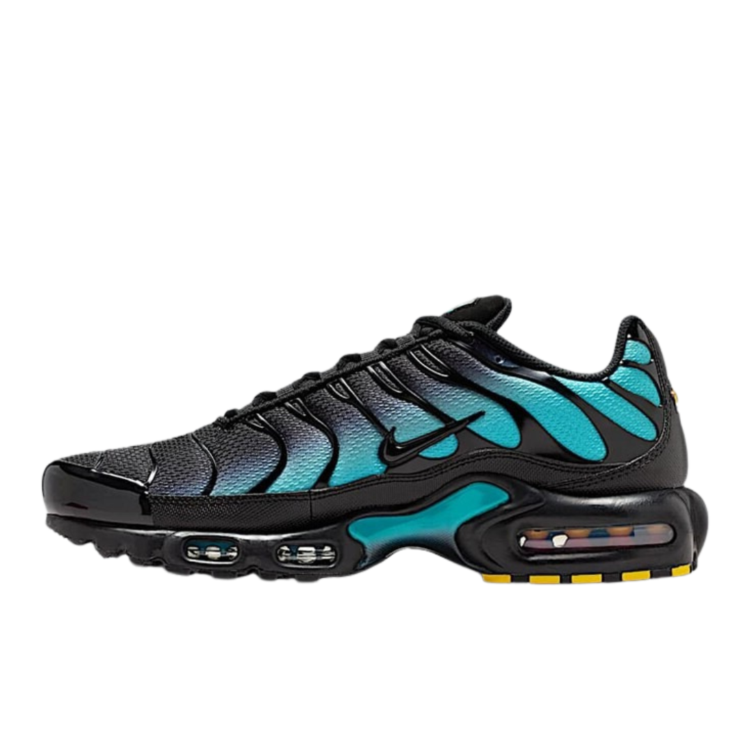 Nike Air Max Plus Black Dusty Cactus