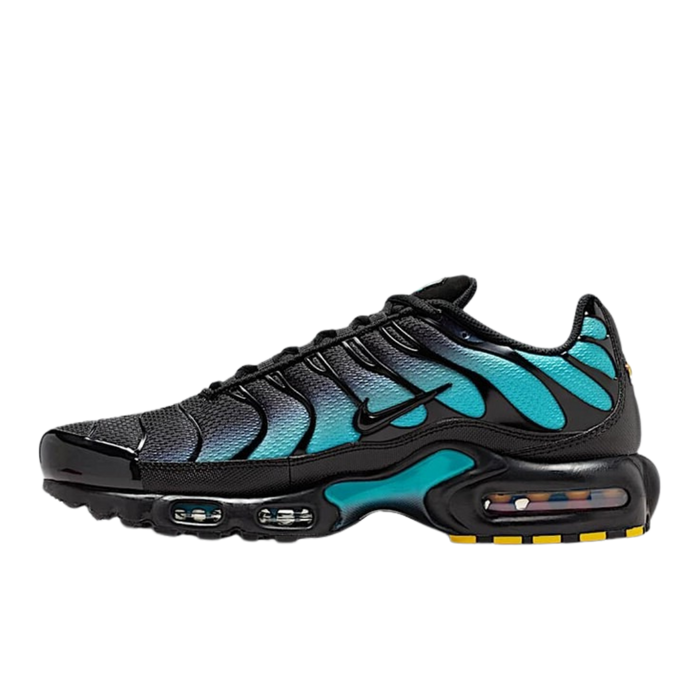 Nike Air Max Plus Black Dusty Cactus