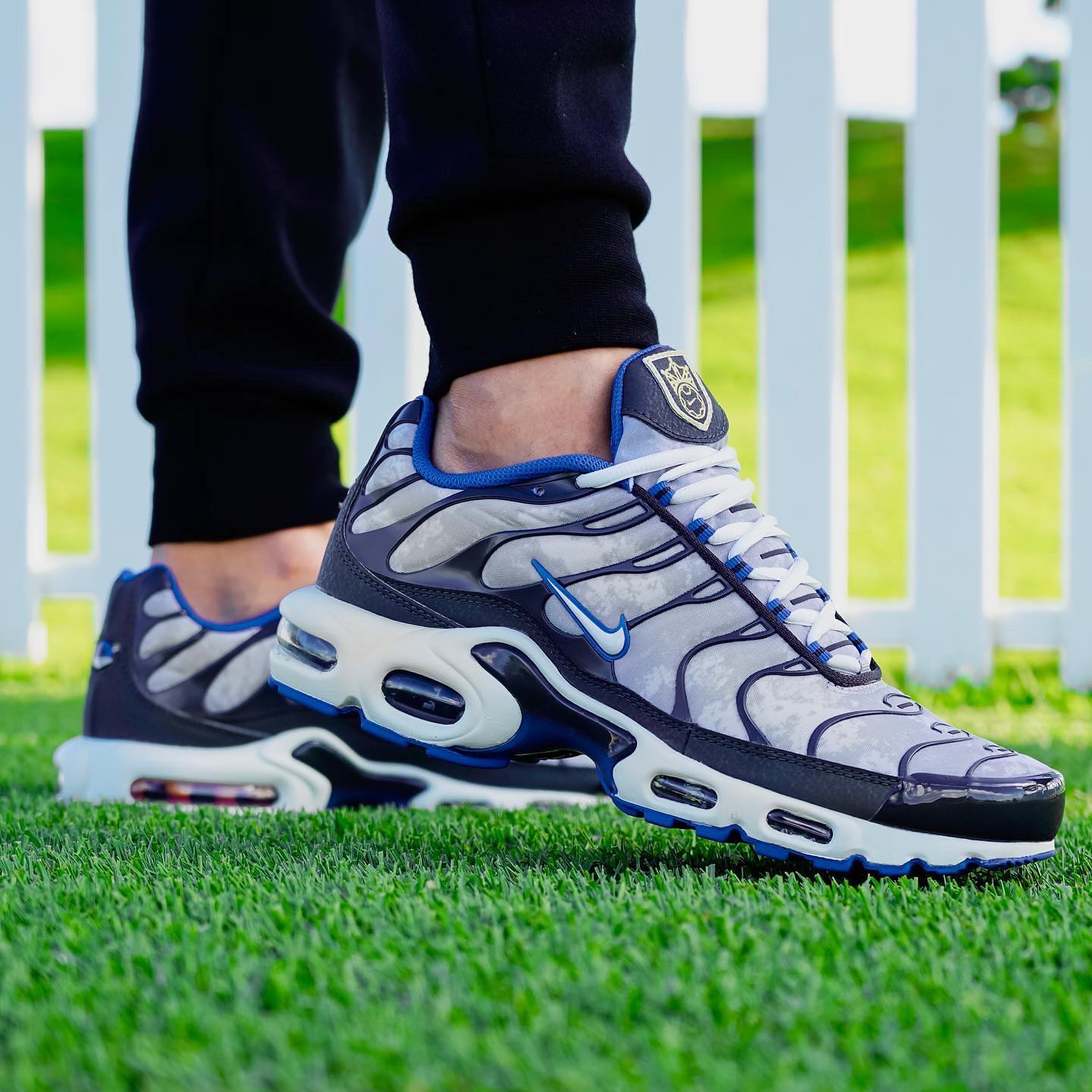 Nike Air Max Plus SE Social FC