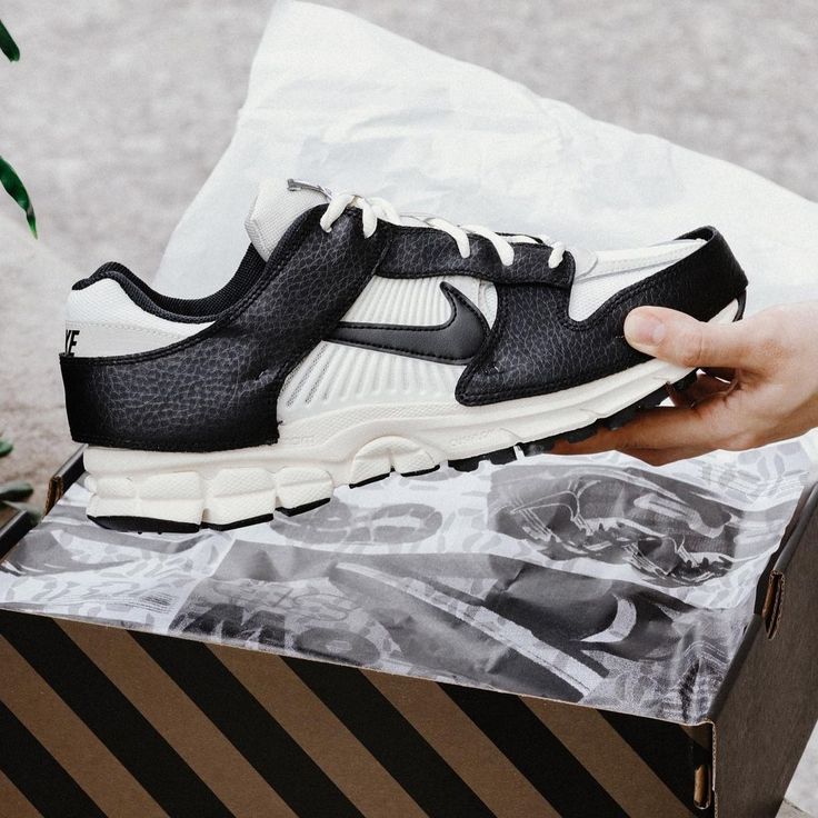 Nike Zoom Vomero 5 Timeless Panda Dunk