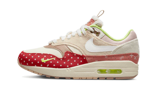 Nike Air Max 1 PRM Woman's Best Friend