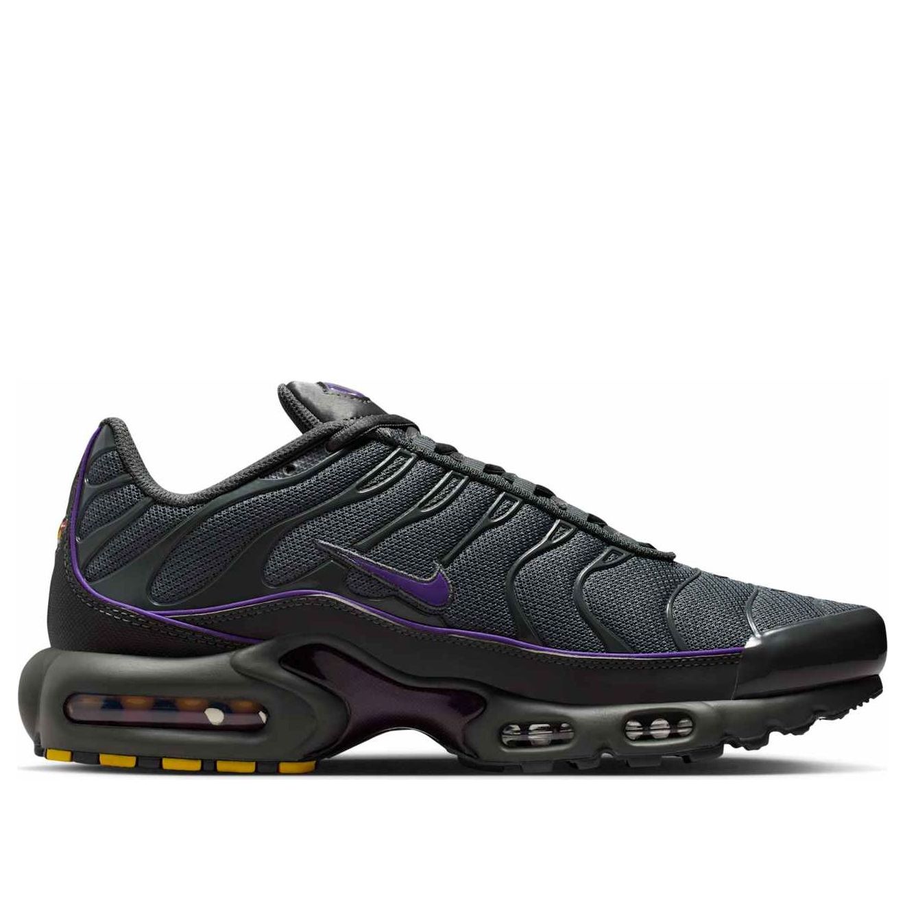 Nike Air Max Plus OG Iron Grey Wild Grape