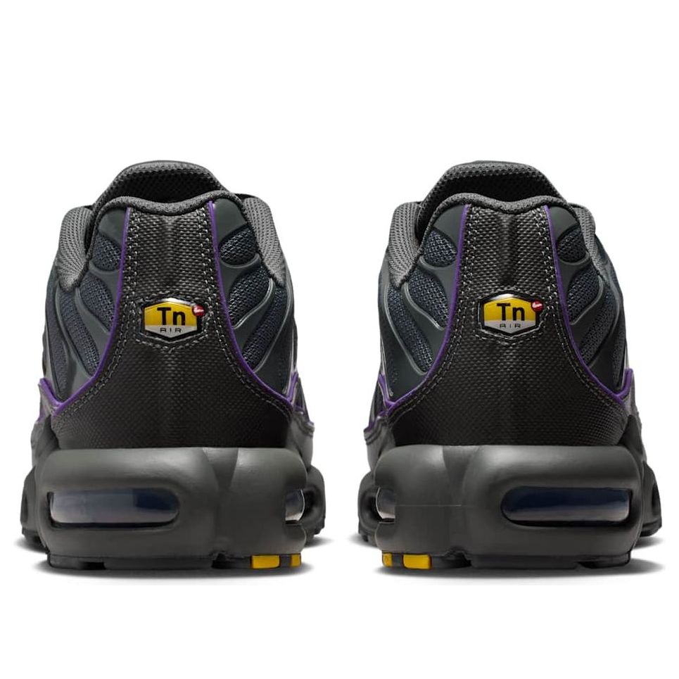 Nike Air Max Plus OG Iron Grey Wild Grape