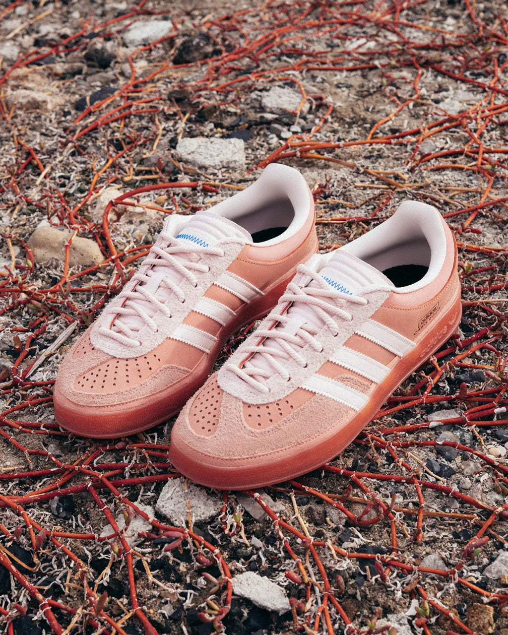 Adidas Gazelle Indoor Bad Bunny Cabo Rojo
