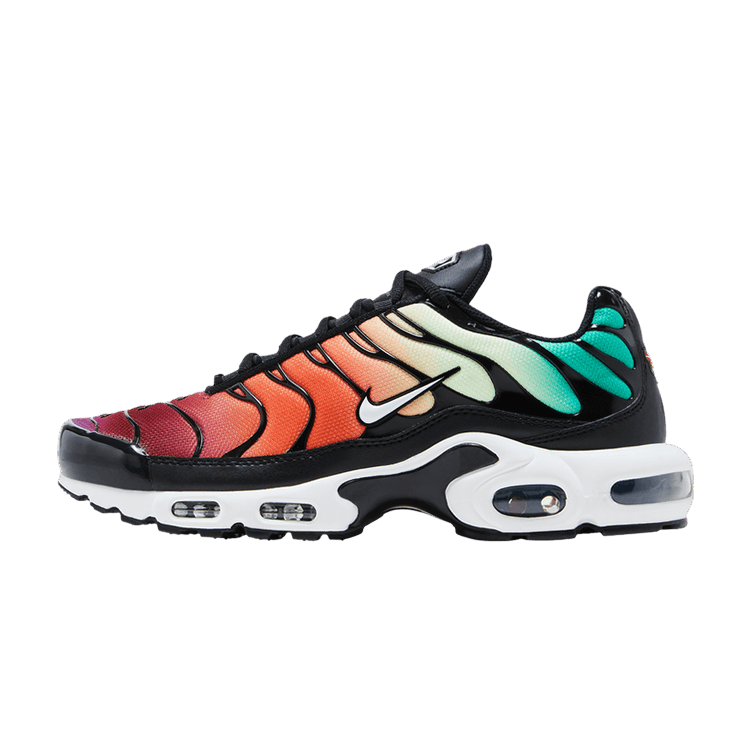 Nike Air Max Plus Rainbow