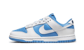Nike Dunk Low Reverse UNC