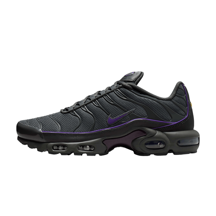 Nike Air Max Plus OG Iron Grey Wild Grape