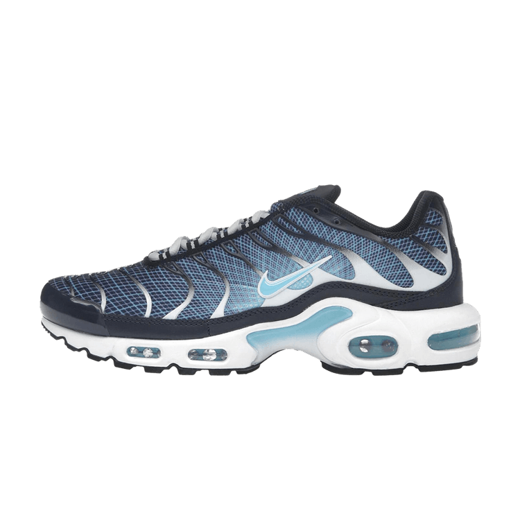 Nike Air Max Plus Dark Obsidian