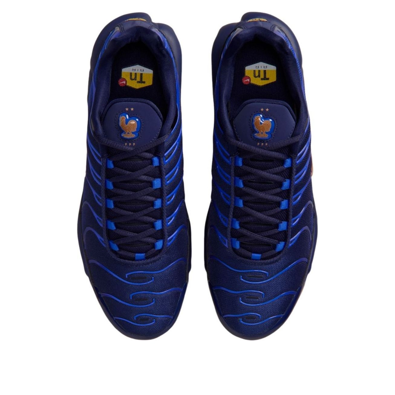 Nike Air Max Plus French Football Federation