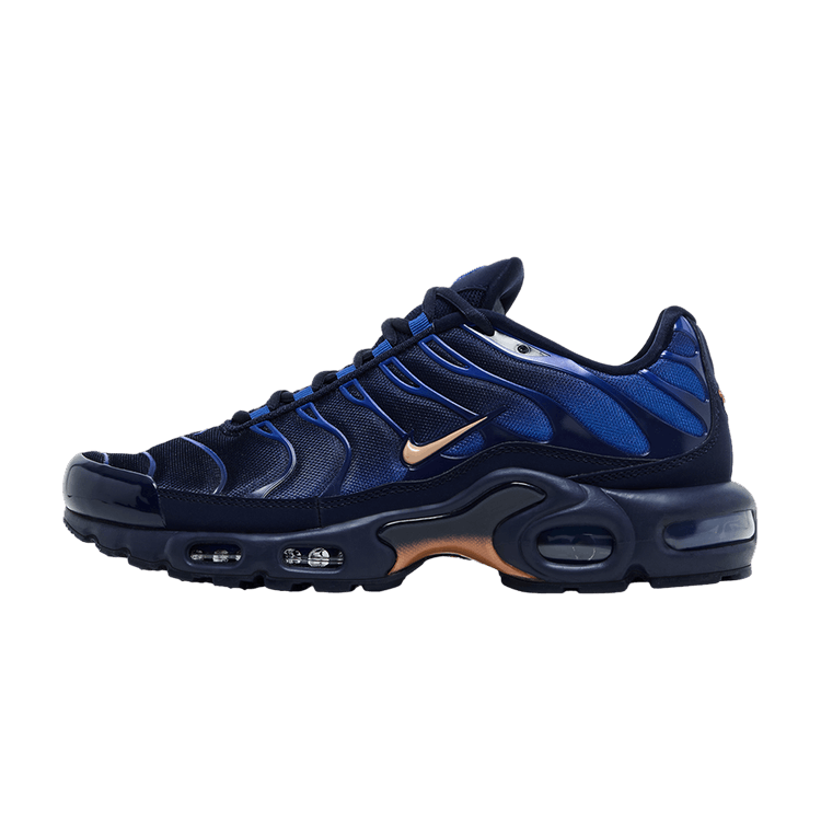 Nike Air Max Plus French Football Federation