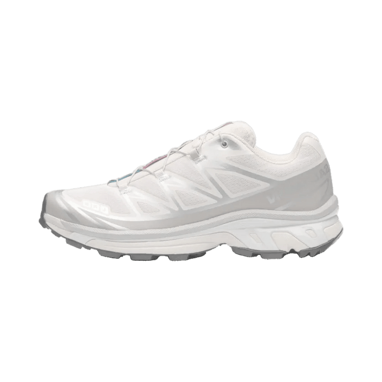 Salomon XT-6 Rainy Day Paloma