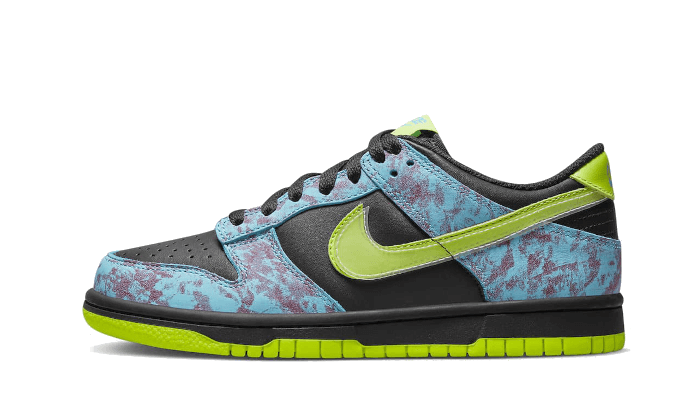 Dunk Low Acid Wash - DV1694-900