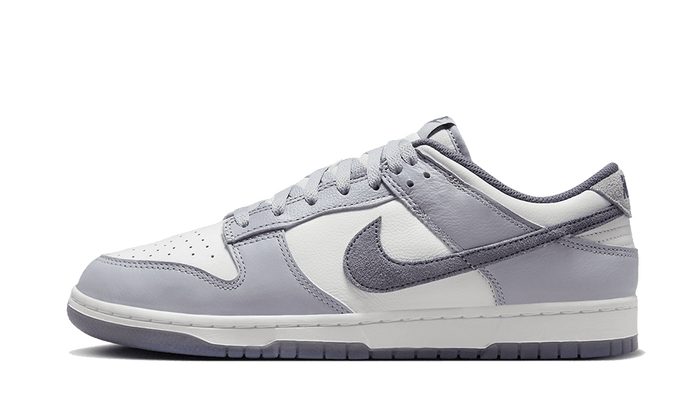 Dunk Low SE Light Carbon - FJ4188-100 / FB9109-101