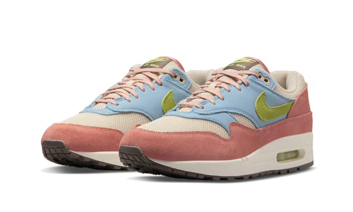 Air Max 1 Light Madder Root - DV3196-800