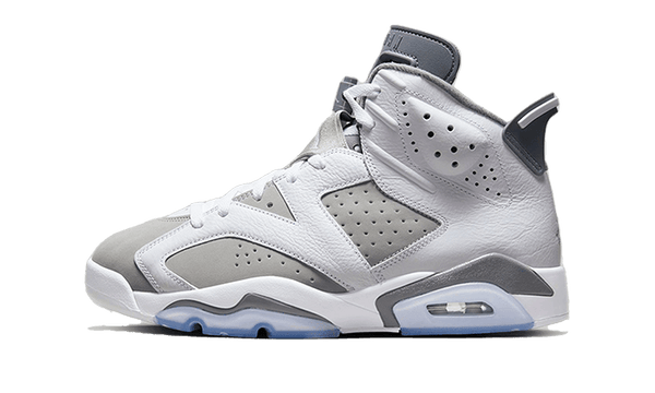 Air Jordan 6 Cool Grey - 384665-100 / CT8529-100