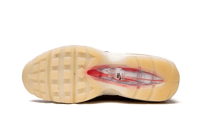 Air Max 95 Anatomy of Air - DM0012-600