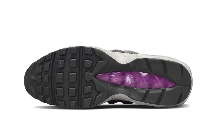 Air Max 95 Safari Viotech - DX2955-001