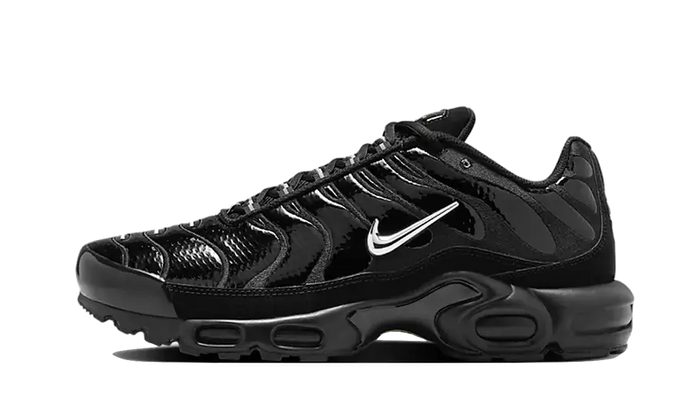 Nike Air Max Plus Schwarz Volt Silber FJ2591 001 SneakerAsk