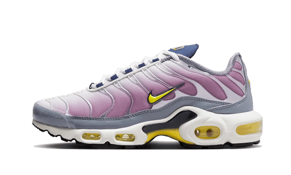 Nike Air Max Plus Violet Dust FN8007 500 SneakerAsk