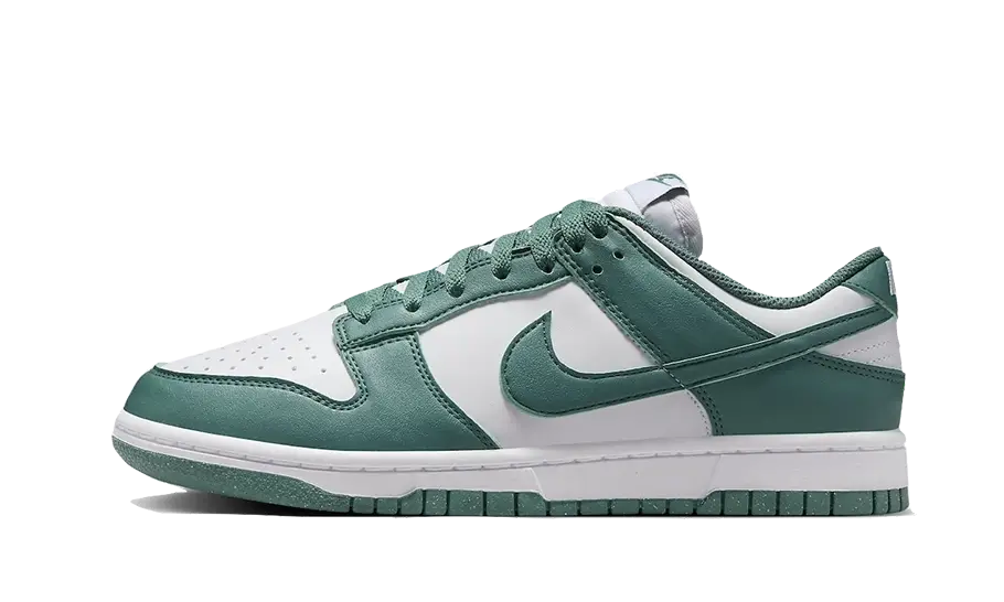 Nike Dunk Low Next Nature Bicoastal