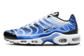 Nike Air Max Plus Light Photography Old Royal