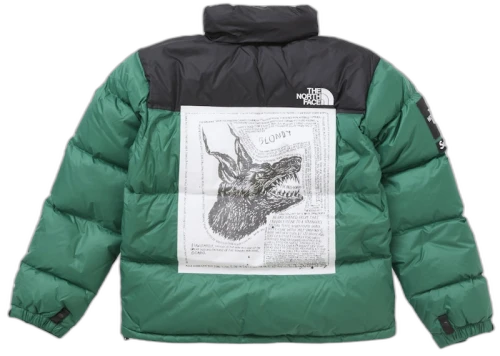 Supreme The North Face Nuptse Jacket Green