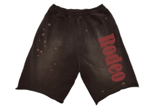 Travis Scott Cactus Jack x Sp5der Days Before Rodeo Shorts Black
