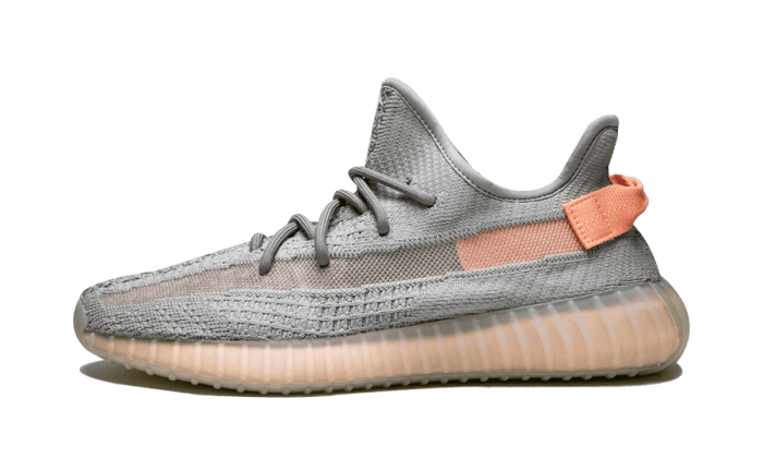 Yeezy Boost 350 V2 True Form - EG7492