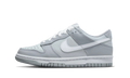 Nike Dunk Low Two Toned Grey